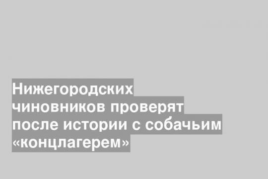 Нижегородских чиновников проверят после истории с собачьим «концлагерем»