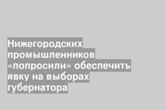 Нижегородских промышленников «попросили» обеспечить явку на выборах губернатора