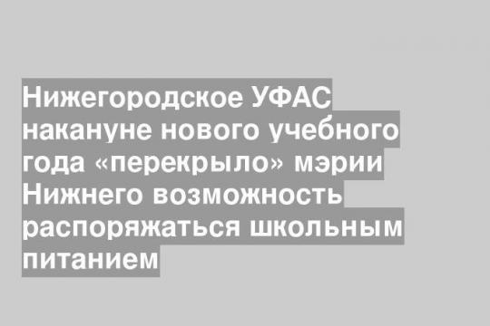 Нижегородское УФАС накануне нового учебного года «перекрыло» мэрии Нижнего возможность распоряжаться школьным питанием