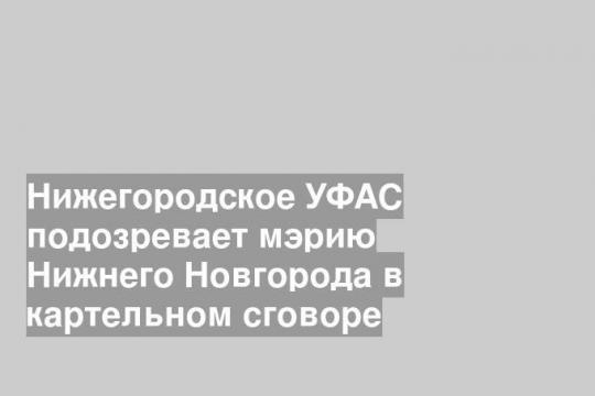 Нижегородское УФАС подозревает мэрию Нижнего Новгорода в картельном сговоре
