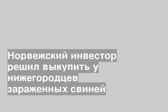 Норвежский инвестор решил выкупить у нижегородцев зараженных свиней
