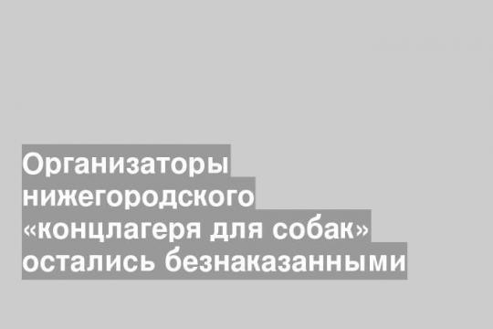 Организаторы нижегородского «концлагеря для собак» остались безнаказанными