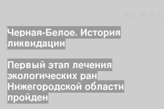 Первый этап лечения экологических ран Нижегородской области пройден