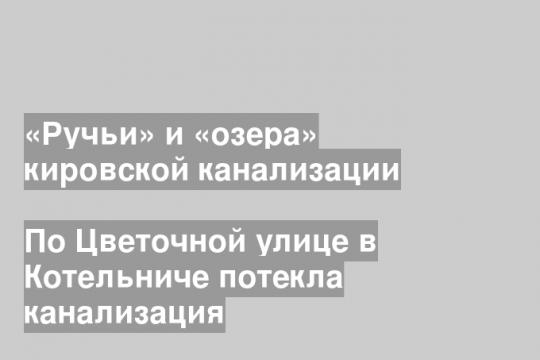 Скриншот видео подписчиков группы «Народный фронт/Киров» в «ВК»