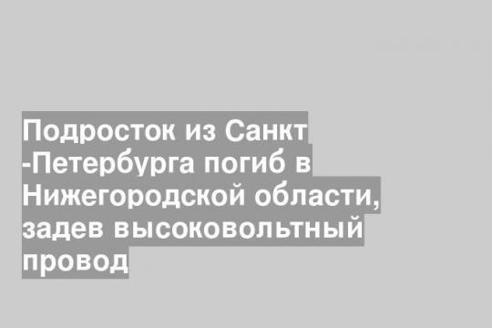 Подросток из Санкт -Петербурга погиб в Нижегородской области, задев высоковольтный провод