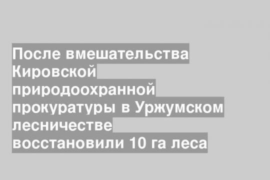 После вмешательства Кировской природоохранной прокуратуры в Уржумском лесничестве восстановили 10 га леса