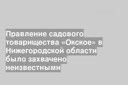 Правление садового товарищества «Окское» в Нижегородской области было захвачено неизвестными