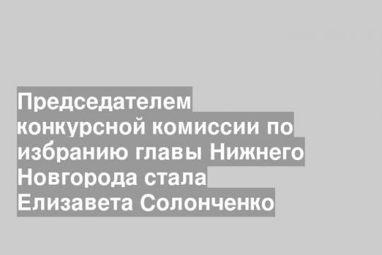 Председателем конкурсной комиссии по избранию главы Нижнего Новгорода стала Елизавета Солонченко
