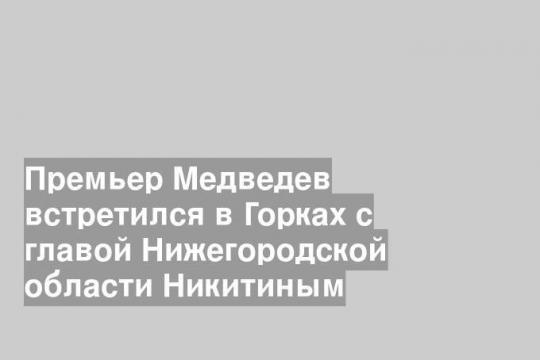 Премьер Медведев встретился в Горках с главой Нижегородской области Никитиным