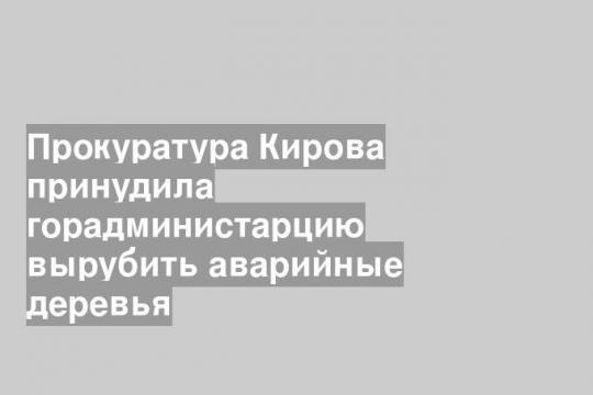 Скриншот видео ТК «Новости Кирова/Первый городской канал»