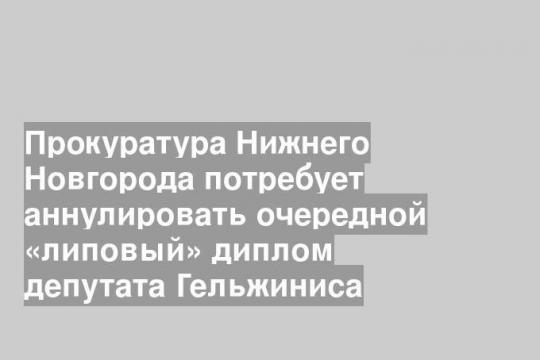 Прокуратура Нижнего Новгорода потребует аннулировать очередной «липовый» диплом депутата Гельжиниса