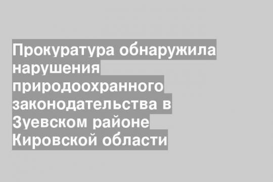 Фото: Дмитрий Cкляренко