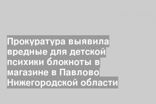 Прокуратура выявила вредные для детской психики блокноты в магазине в Павлово Нижегородской области