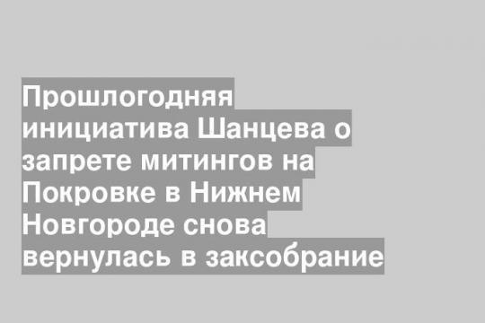 Прошлогодняя инициатива Шанцева о запрете митингов на Покровке в Нижнем Новгороде снова вернулась в заксобрание