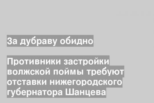 Противники застройки волжской поймы требуют отставки нижегородского губернатора Шанцева