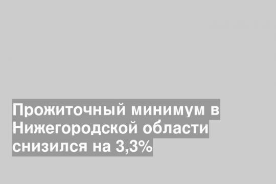 Прожиточный минимум в Нижегородской области снизился на 3,3%