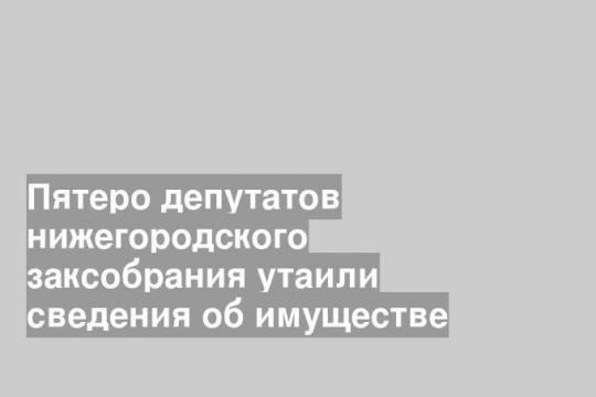 Пятеро депутатов нижегородского заксобрания утаили сведения об имуществе