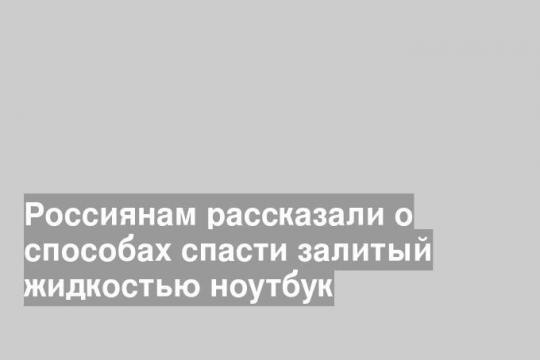 Россиянам рассказали о способах спасти залитый жидкостью ноутбук