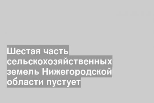 Шестая часть сельскохозяйственных земель Нижегородской области пустует