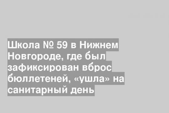 Школа № 59 в Нижнем Новгороде, где был зафиксирован вброс бюллетеней, «ушла» на санитарный день