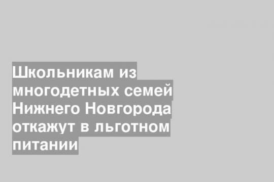 Школьникам из многодетных семей Нижнего Новгорода откажут в льготном питании