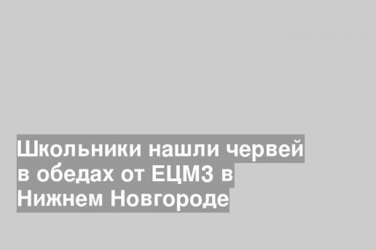 Школьники нашли червей в обедах от ЕЦМЗ в Нижнем Новгороде