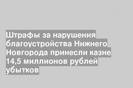 Штрафы за нарушения благоустройства Нижнего Новгорода принесли казне 14,5 миллионов рублей убытков