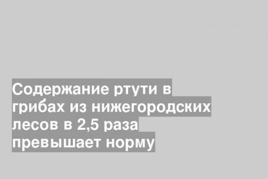 фото взято из свободных источников