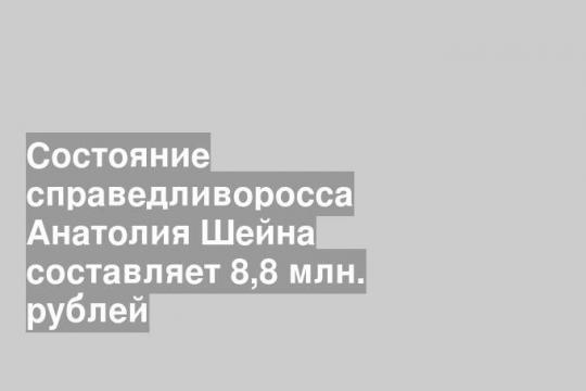 Состояние справедливоросса Анатолия Шейна составляет 8,8 млн. рублей