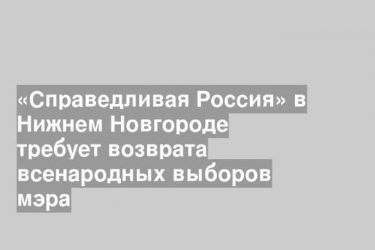«Справедливая Россия» в Нижнем Новгороде требует возврата всенародных выборов мэра
