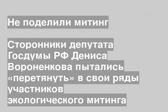 Сторонники депутата Госдумы РФ Дениса Вороненкова пытались «перетянуть» в свои ряды участников экологического митинга