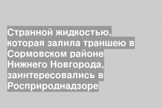 Странной жидкостью, которая залила траншею в Сормовском районе Нижнего Новгорода, заинтересовались в Росприроднадзоре