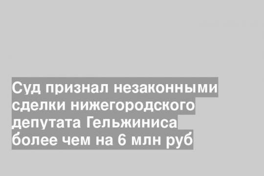 Суд признал незаконными сделки нижегородского депутата Гельжиниса более чем на 6 млн руб