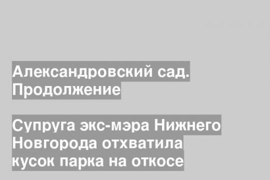 Супруга экс-мэра Нижнего Новгорода отхватила кусок парка на откосе