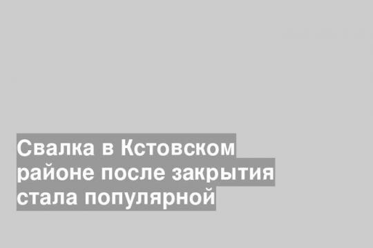 Свалка в Кстовском районе после закрытия стала популярной