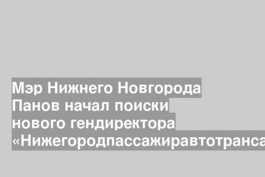 Мэр Нижнего Новгорода Панов начал поиски нового гендиректора «Нижегородпассажиравтотранса»