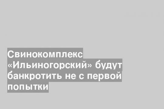 Свинокомплекс «Ильиногорский» будут банкротить не с первой попытки