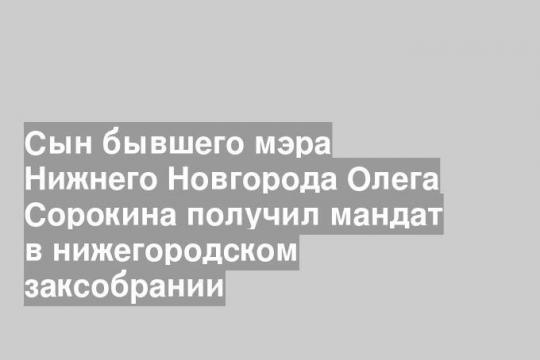 Сын бывшего мэра Нижнего Новгорода Олега Сорокина получил мандат в нижегородском заксобрании