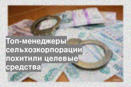 Топ-менеджеры сельхозкорпорации похитили целевые средства
