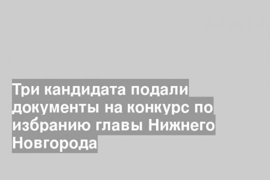 Три кандидата подали документы на конкурс по избранию главы Нижнего Новгорода