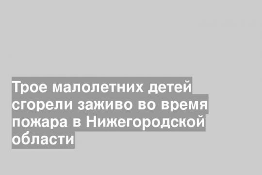 Трое малолетних детей сгорели заживо во время пожара в Нижегородской области