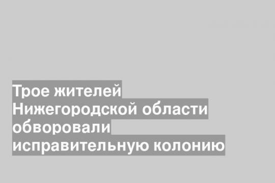 Трое жителей Нижегородской области обворовали исправительную колонию