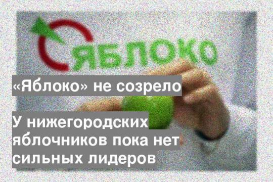 У нижегородских яблочников пока нет сильных лидеров