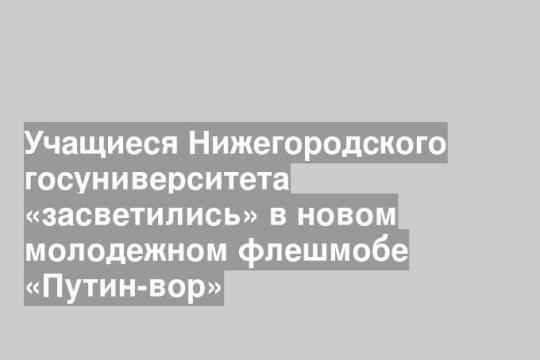 Учащиеся Нижегородского госуниверситета «засветились» в новом молодежном флешмобе «Путин-вор»