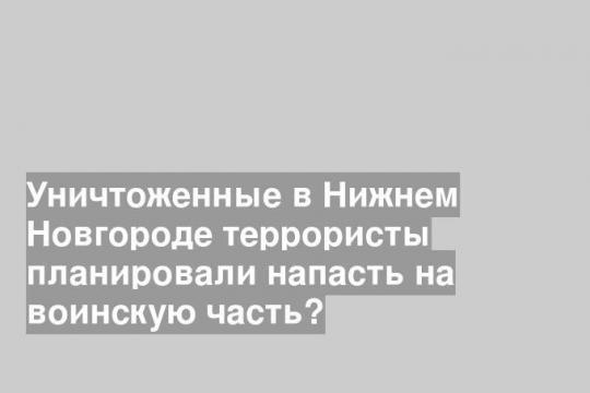 Уничтоженные в Нижнем Новгороде террористы планировали напасть на воинскую часть?