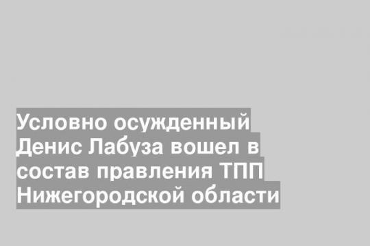 Условно осужденный Денис Лабуза вошел в состав правления ТПП Нижегородской области