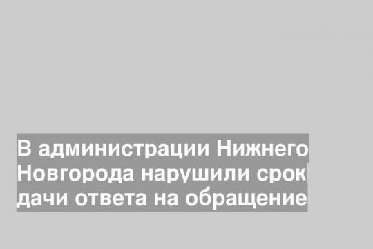 В администрации Нижнего Новгорода нарушили срок дачи ответа на обращение