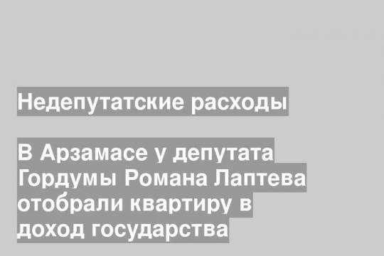 В Арзамасе у депутата Гордумы Романа Лаптева отобрали квартиру в доход государства