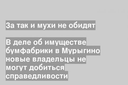 В деле об имуществе бумфабрики в Мурыгино новые владельцы не могут добиться справедливости