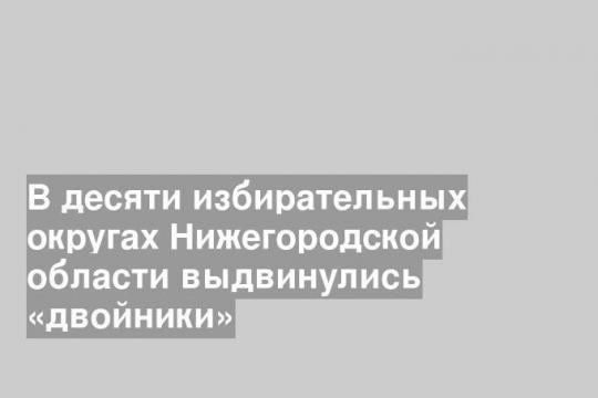 В десяти избирательных округах Нижегородской области выдвинулись «двойники»